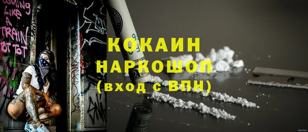 сатива Богданович
