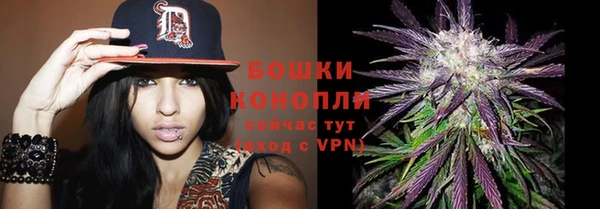 Альфа ПВП Богородск