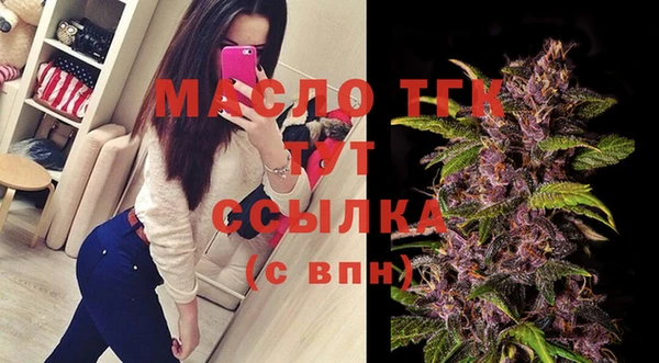 соль ск Богородицк