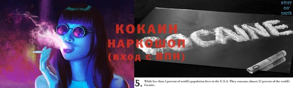 сатива Богданович