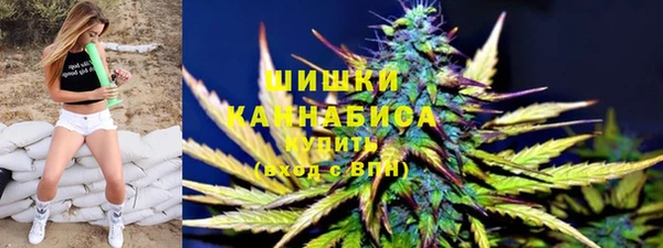 соль ск Богородицк