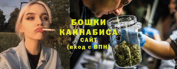 сатива Богданович