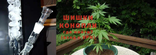 сатива Богданович