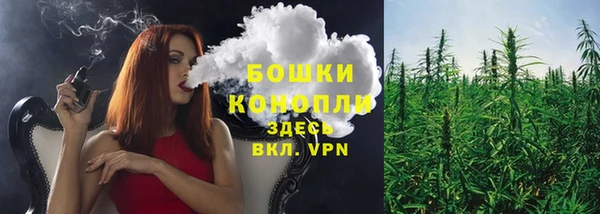сатива Богданович