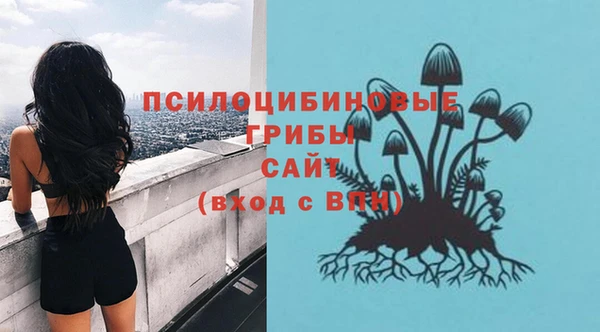 сатива Богданович