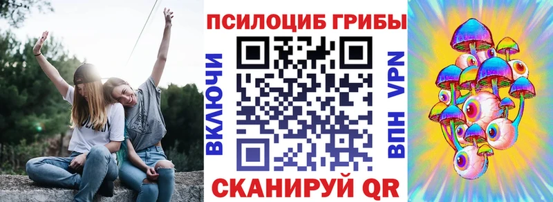 Псилоцибиновые грибы Psilocybe  как найти наркотики  это официальный сайт  Реутов 